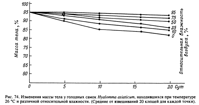       Hyalomma asiaticum,    26     