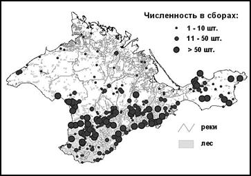 клещи Haemaphysalis punctata в Крыму